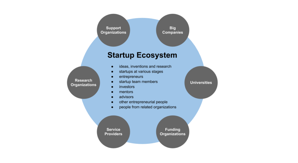 Branding & Market Research