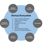 Branding & Market Research