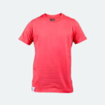 سازمان COMSATS کمیسیون علوم و فناوری برای توسعه پایدار علوم و فناوری در جنوب آسیا