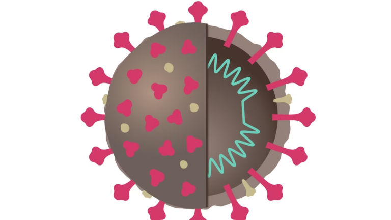 Coronavirus 101